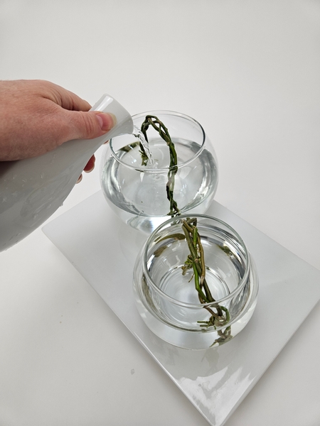 Fill both of the bowls with water