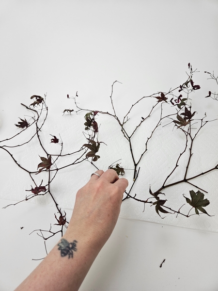 Groom the branches so that you have only a few perfect leaves on it