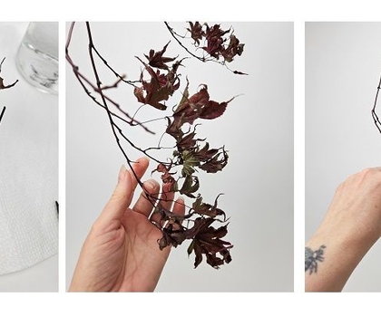 Those B00OOOoootunias though!