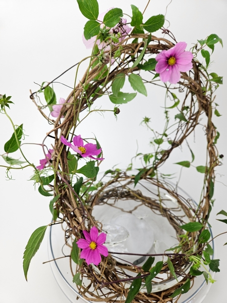 Harvest some cuttings to root in a floral design