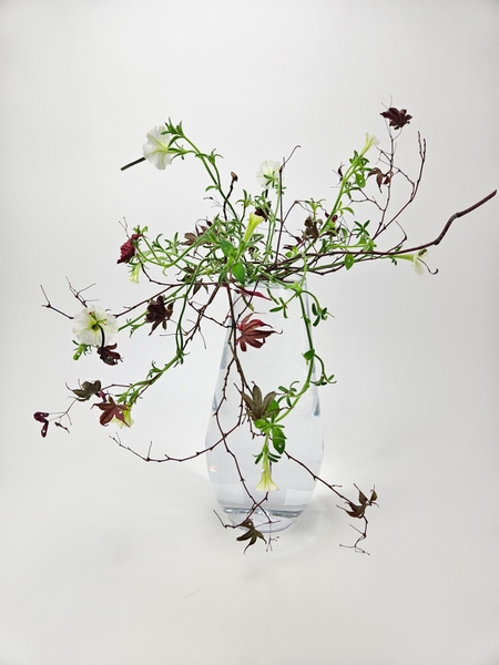 How to use dried plant material in a floral display