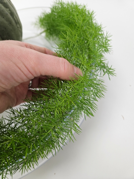 Lift the fern so that it is rests on the edge of the container