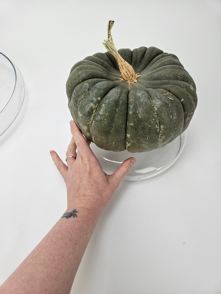 Measure out your pretty pumpkin to find a low container that is just slightly bigger