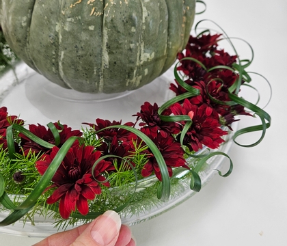 Making light of a heavy, heavy pumpkin in double low containers for a zero waste kitchen pumpkin display… a few days before Thanksgiving