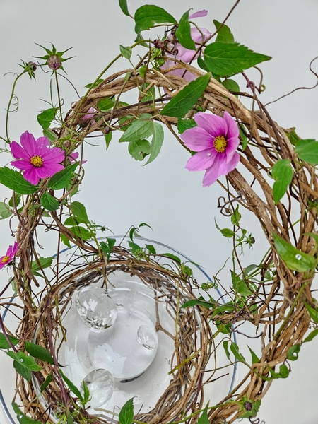 Rooting clematis cuttings in my floral design