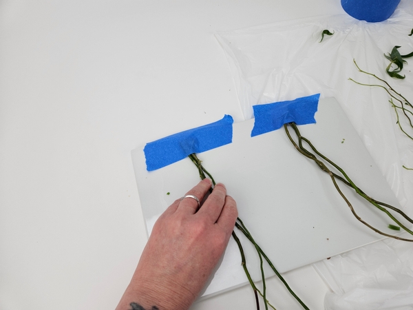 To make it easier to plait or braid the stems simply tape one end to a tray or tile with painters tape