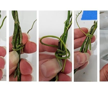 Brewing some inspiration