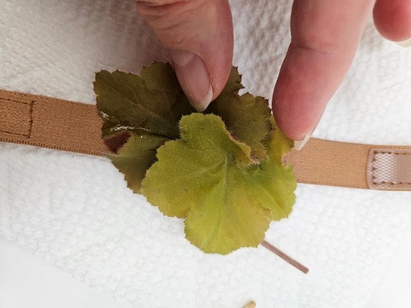 Creating a beautiful swirl of foliage to glue to the corsage base