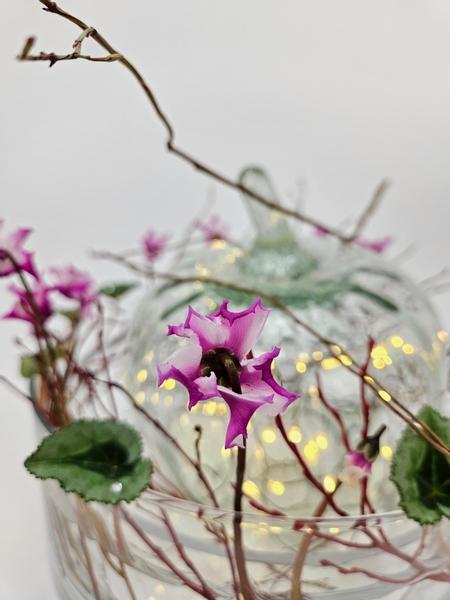 Cyclamen in a flower arrangement