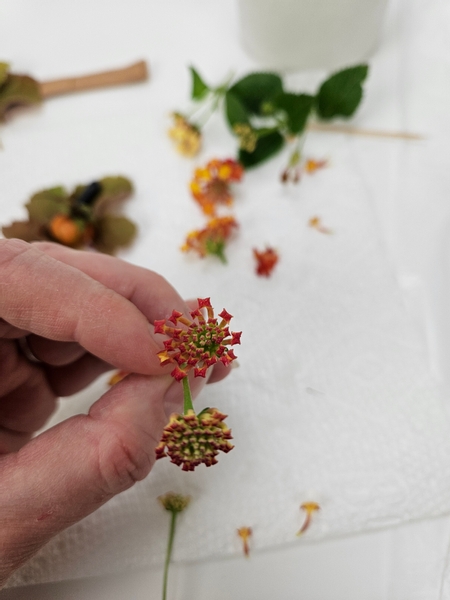 I am also gluing in a few lantana buds to look like sparkles around the rose hips