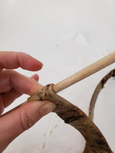 Use a round stick to help guide the bark and start to roll it from one end