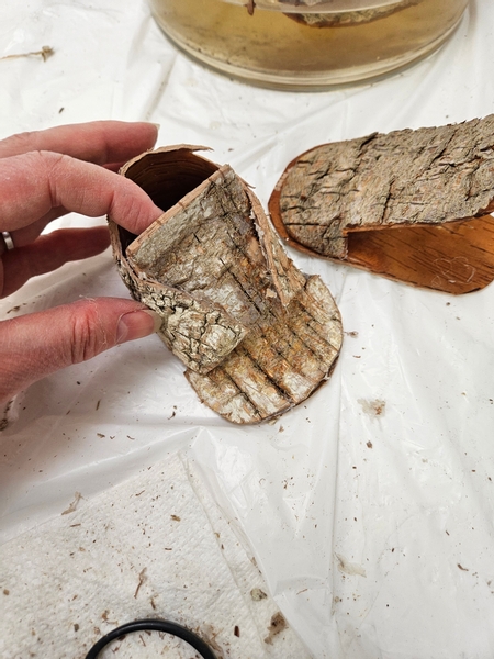 Cut away any bark that sticks out to tidy up the boot