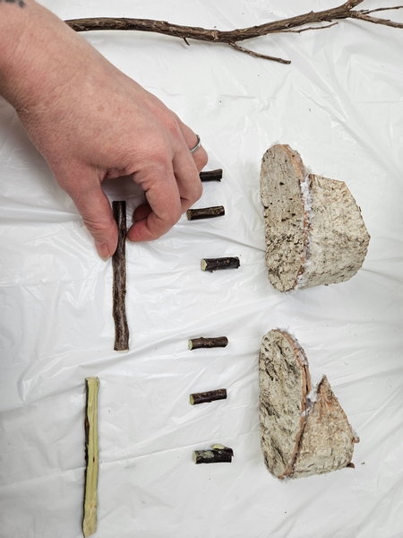 Cut three twigs into small bits for the skate blades to rest on