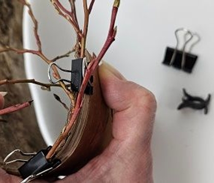 A Very Merry… all elf pass into Santa’s workshop, department for checking it twice