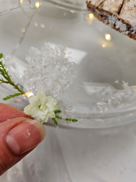 Glue in kalanchoe flowers snipped from a plant