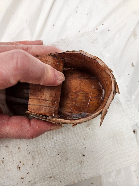 Glue in the bark making sure the front of the boot remains curved open