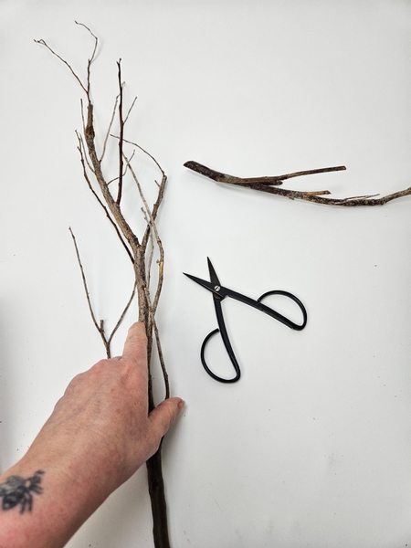 Groom a huckleberry stem so that you have a few forks in the twig to keep the scroll upright