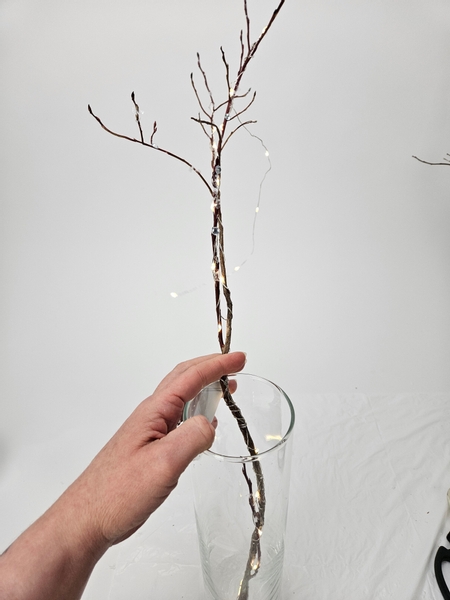 Place the twig in a vase.