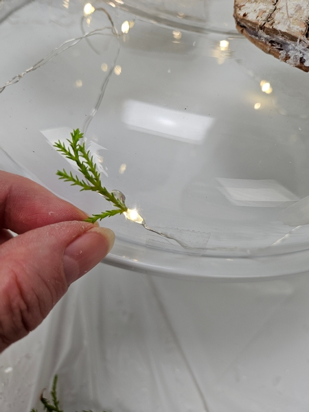 Use floral glue to secure a small snippet of lemon cypress to the low container