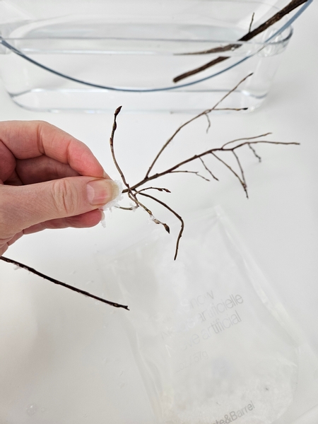 Add a dusting of artificial snow to some huckleberry twigs