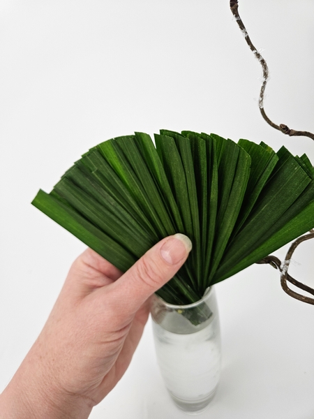 Fan open the palm leaflets