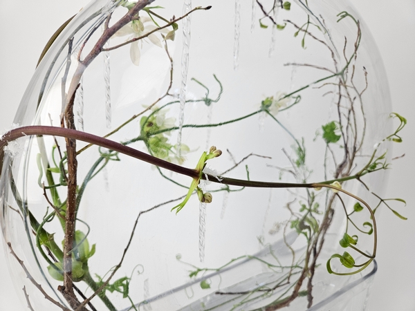 How to arrange spring flowering vines in a vase without using floral foam