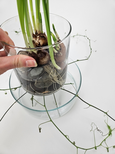 Place the pebble filled container right on top of the vines to weigh it down