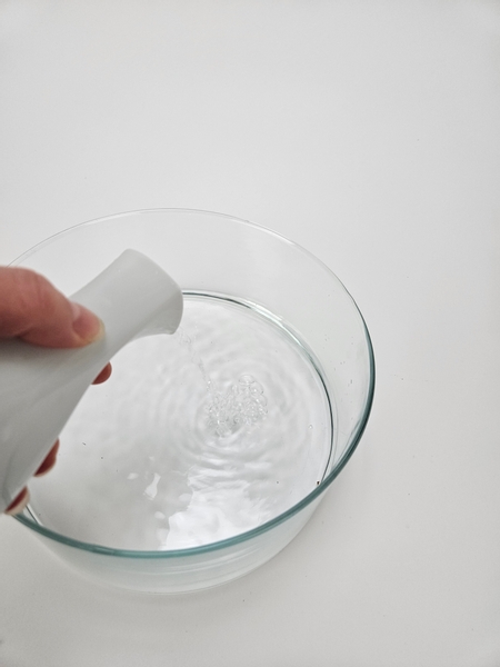 Pour water into a display container to just cover the base