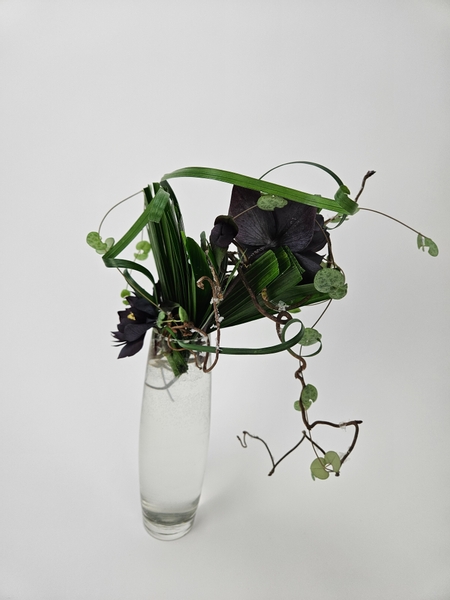 Winter fan arrangement with minimal flowers