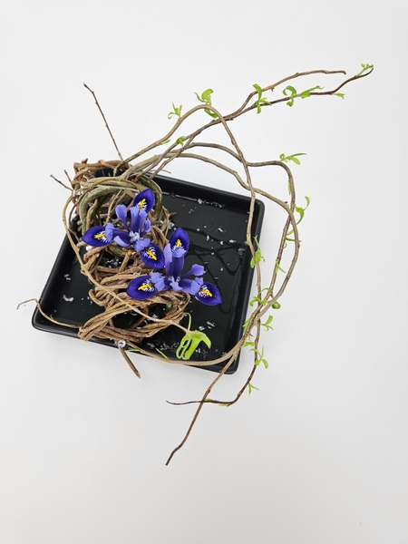 A winter floral design using fresh cut irises from my garden