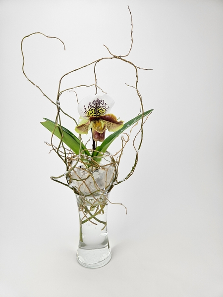 Bring in the winter with a sustainable foam free potted orchid and willow twig flower arrangement