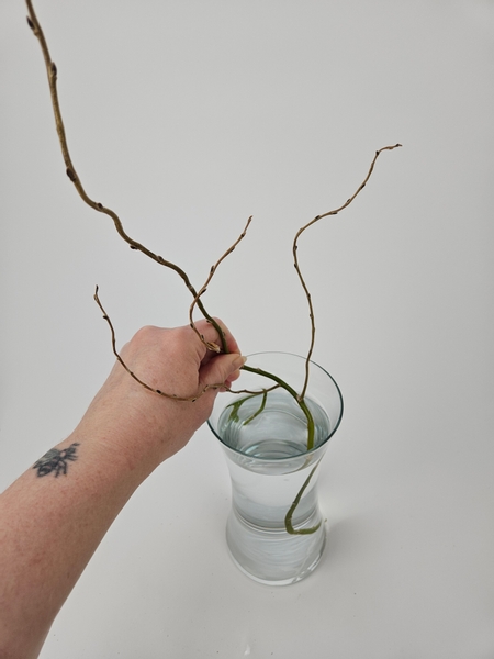 Choose willow stems with fresh side branches that you can manipulate around the display container