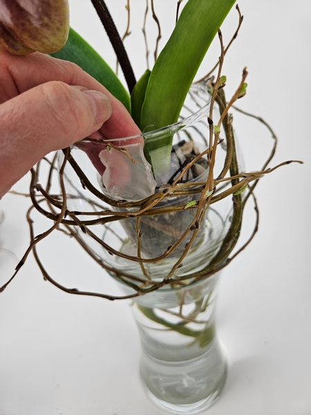 Drop frosted glass chips around the plant pot to conceal it