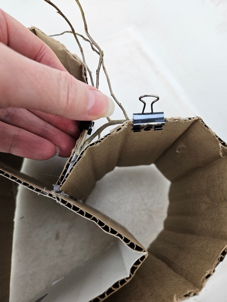 Fold the side branches and tip of the willow stem to tightly follow the heart shape around the rest of the cardboard