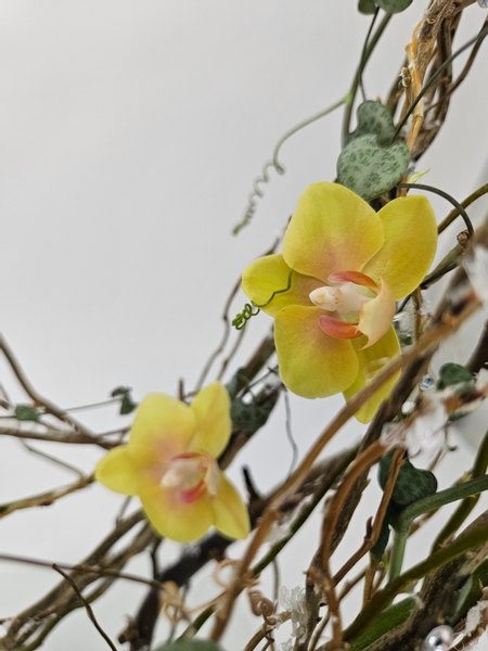 Phalaenopsis orchids in a sustainable waste free floral design for flower club