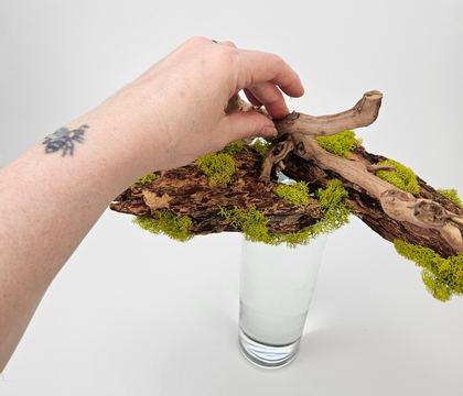 A bark design surface that suspends the first Spring flowers to rest just below the surface.