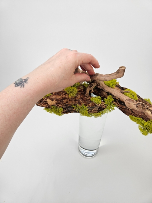 A bark design surface that suspends the first Spring flowers to rest just below the surface.