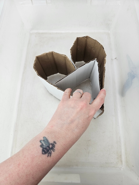 Place the cardboard heart in a container to make it easier to build around the shape