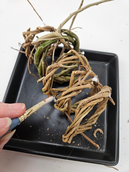 Secure the wreaths with a few drops of wood glue