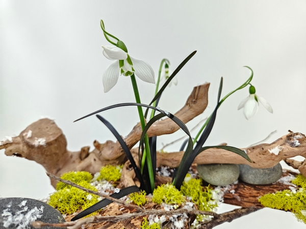 Snow drops in a floral arrangement