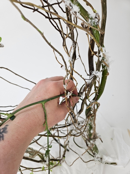 Strip a passion fruit vine with a fork in the stem to expose the gorgeous tendrils