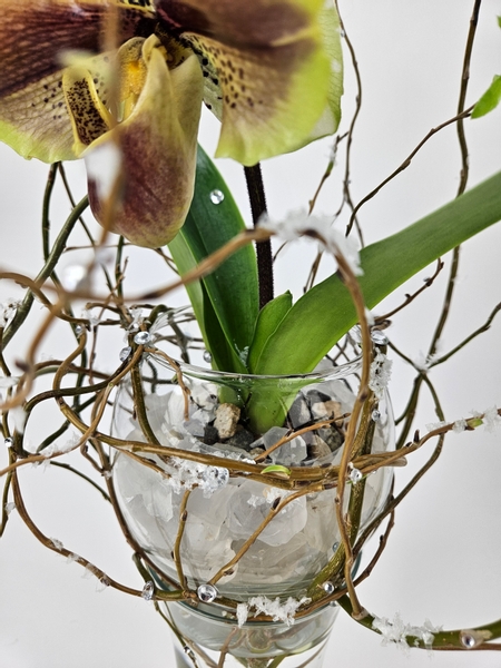 Use frosted glass chips to conceal the pot of an orchid in a display