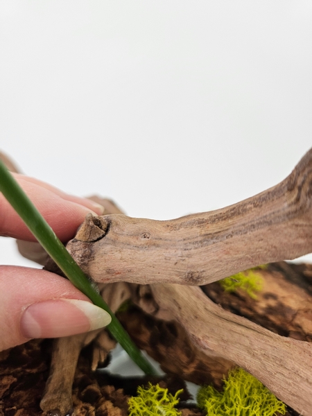 Use the tiniest drop of floral glue to secure the flower stems to the driftwood