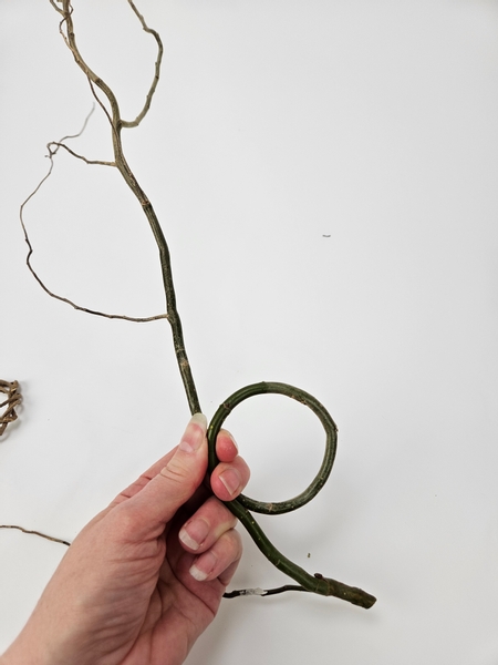 Make sure to choose a fresh willow branch with many side branches like this one to weave the tiny wreath from