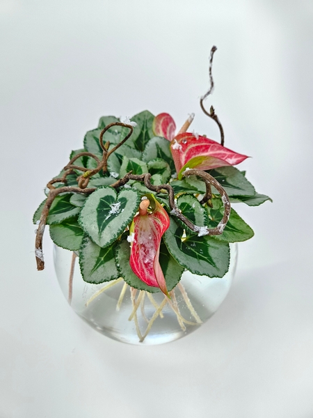 Cyclamen and anthurium composite design without using any floral foam