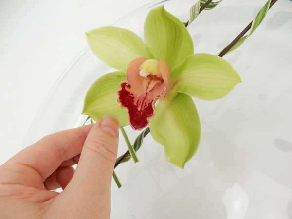 Pour water into the flat container and rest the flowers on the grass