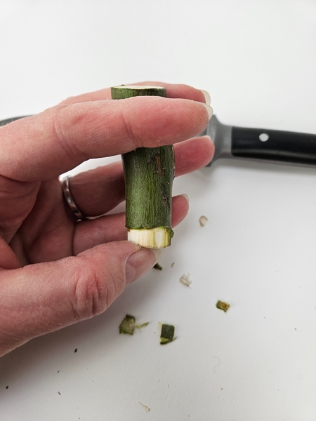 And peel away the bark And peel away the bark