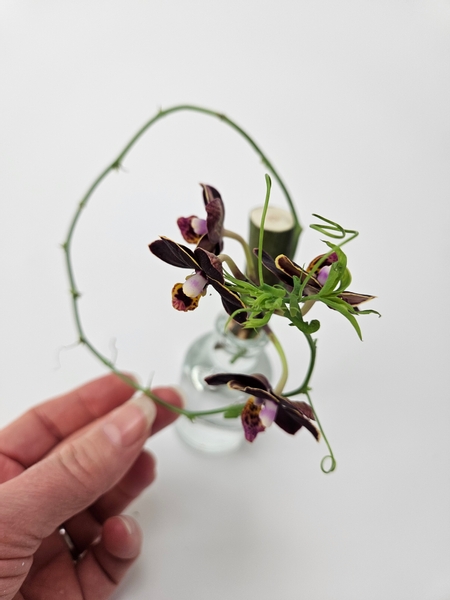 Drape the vine around the orchid to finish of the floral arrangement Drape the vine around the orchid to finish of the floral arrangement