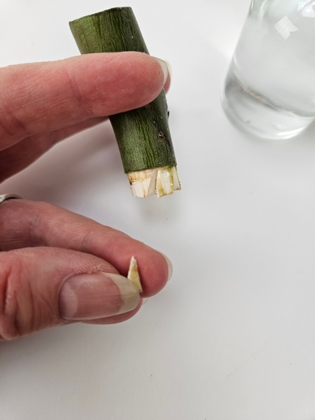 Each stem of plant material you display gets its own little notch in the willow Each stem of plant material you display gets its own little notch in the willow