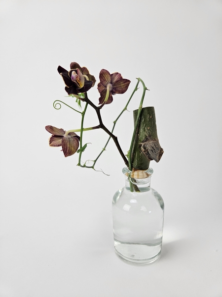 Use a dried willow twig to keep your floral details in position in a contemporary flower arrangement Use a dried willow twig to keep your floral details in position in a contemporary flower arrangement
